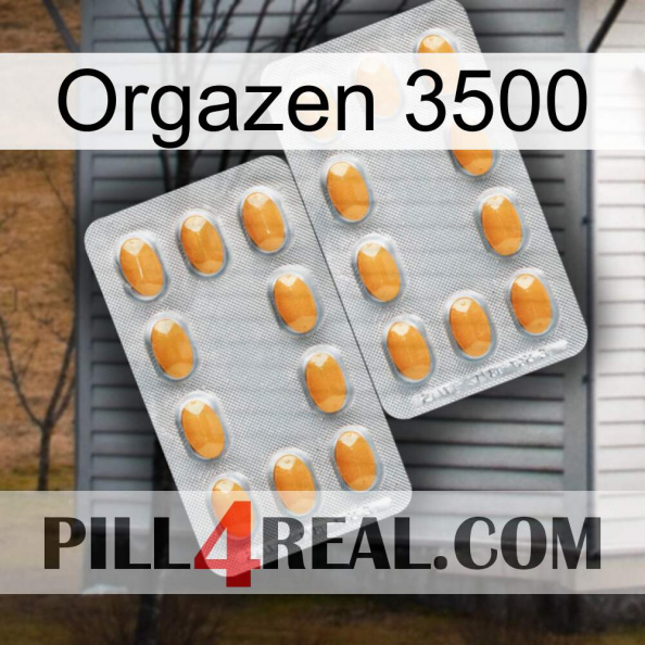 Orgazen 3500 cialis4.jpg